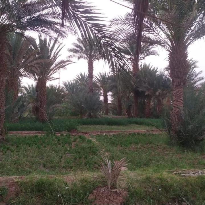 Transit Hotel Nouakchott Luaran gambar